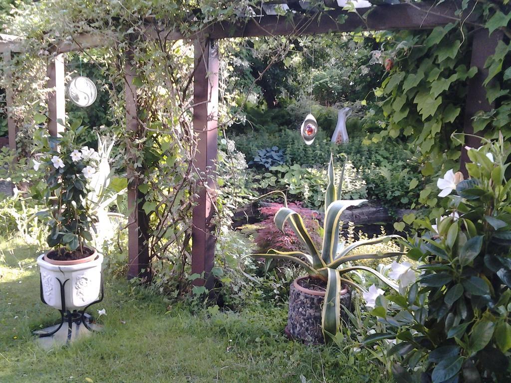 Gartenhaus Steffie Potsdam Exterior foto